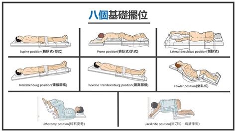 截刀臥位|護理學/病人的臥位